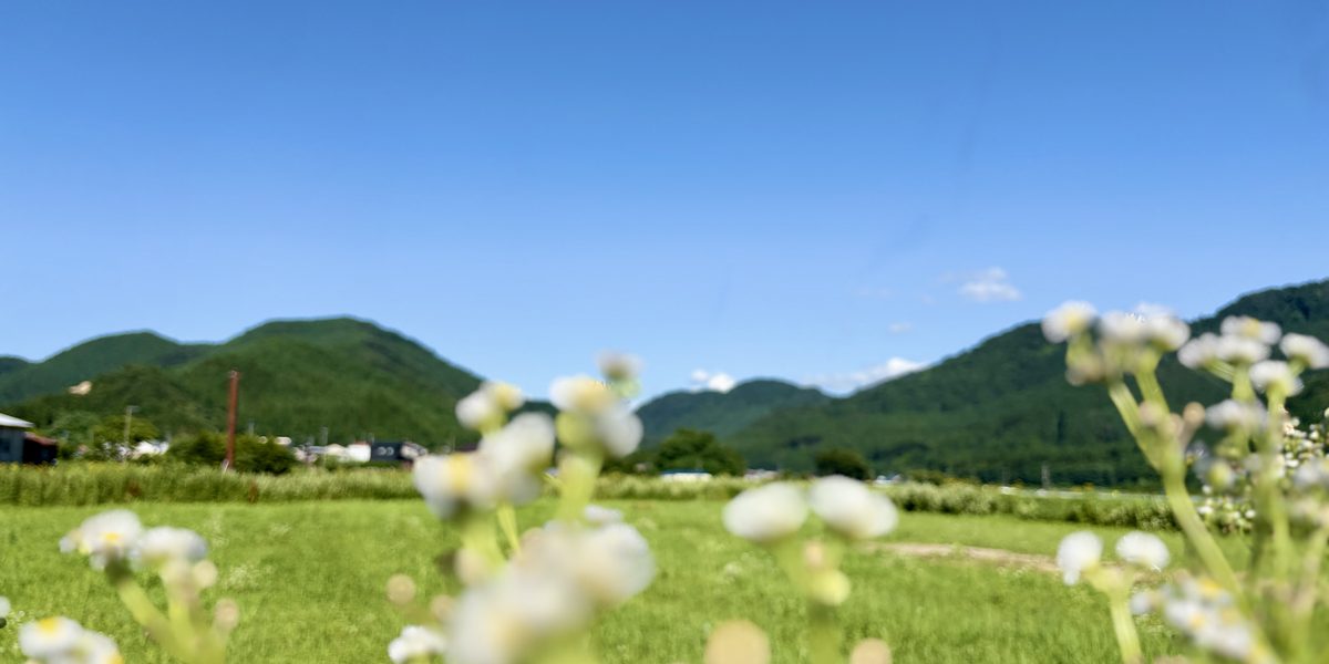 地域に根差す仕事